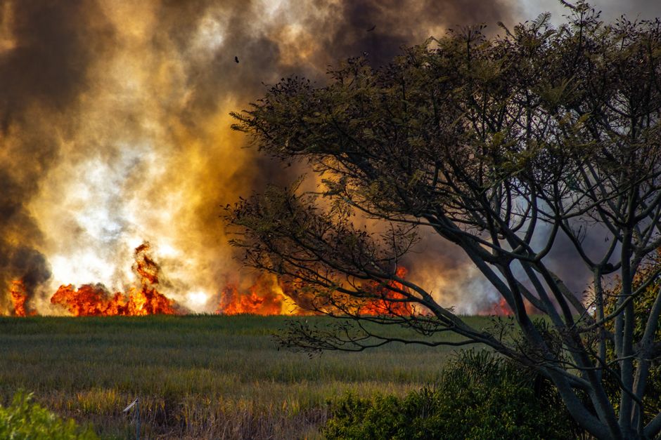 Colorado's New Wildfire Insurance Law Takes Effect as Fires Burn