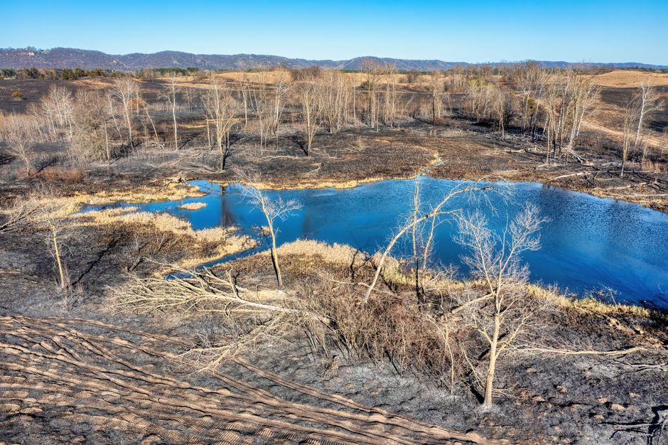 Colorado Now Requires Insurers to Show You Your Wildfire Risk Score
