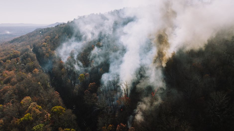 Wildfire Risk: How To Protect Your Home Insurance