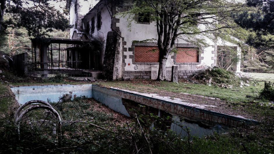 Does Home Insurance Cover a Fallen Tree?